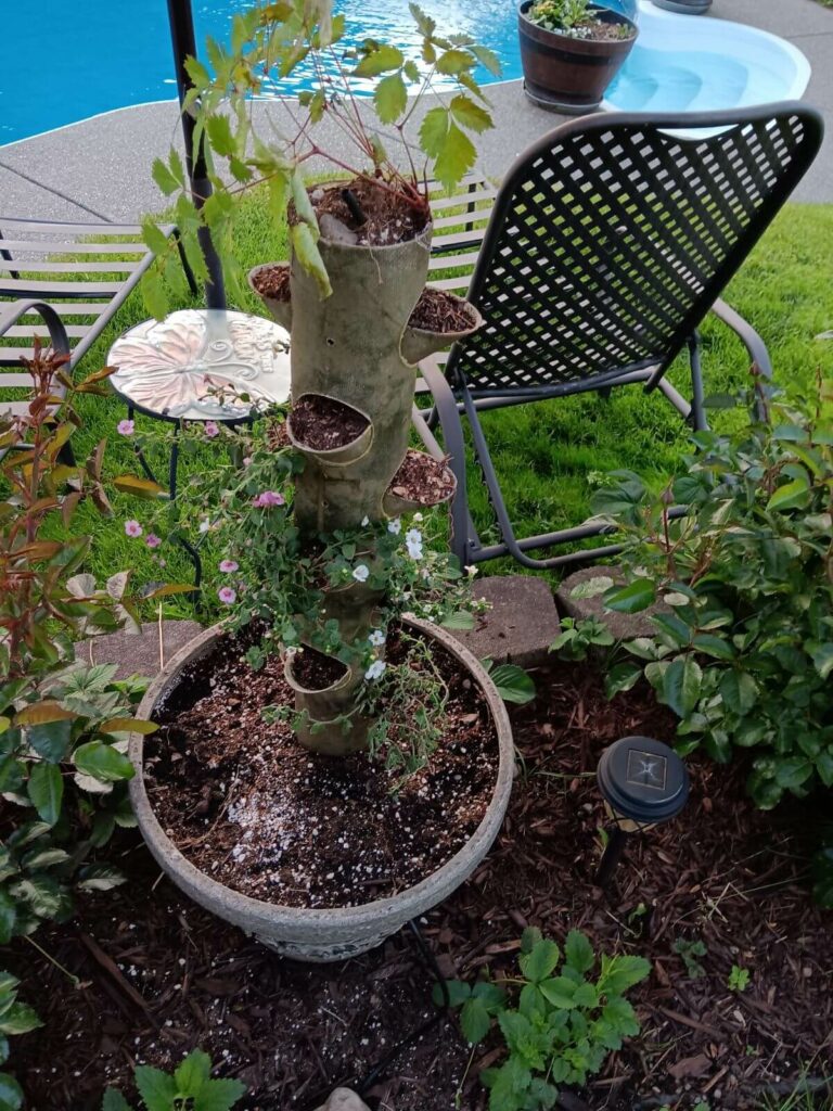 Vertical Garden Planter with assortment of edible plants